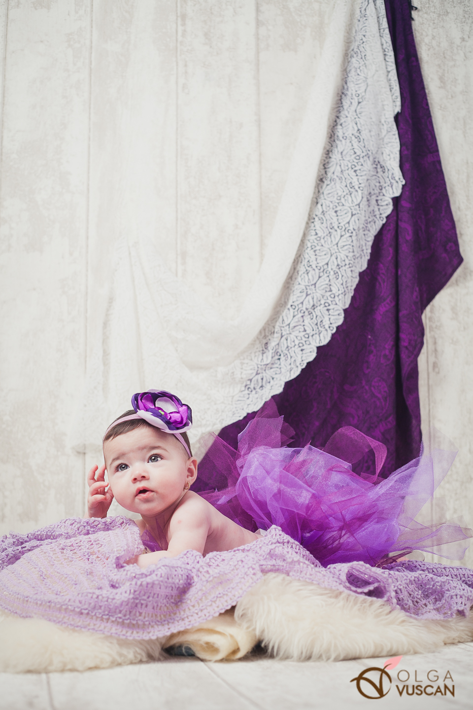 sedinta foto cu bebe pe culoarea mov_fotograf Olga Vuscan
