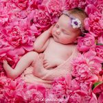 sedinta foto de fetita cu bujori_fotograf bebelusi Olga Vuscan