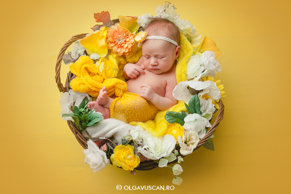 fotograf profesionist bebe, sedinta foto nou-nascut, fotograf bebelusi, sesiune foto bebe Cluj Olga Vuscan