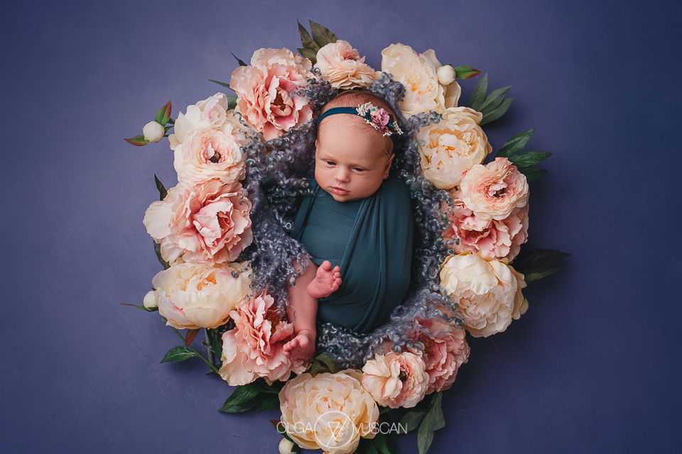 sesiune foto nou-nascut, fotograf bebelusi, fotograf bebe, poze bebe, fotograf nou-nascuti Olga Vuscan Cluj